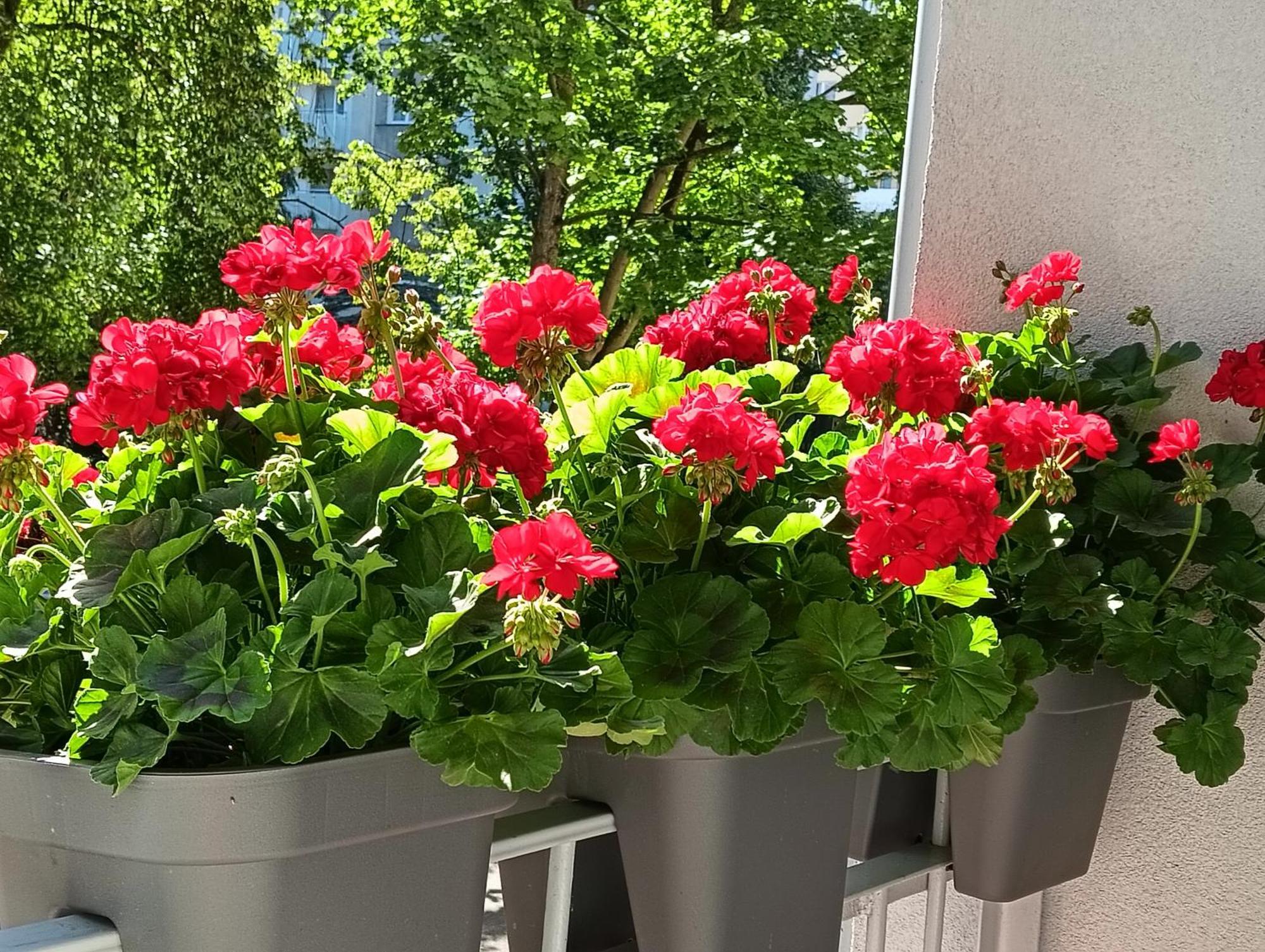 Apartament Ale Laba Kolobrzeg Luaran gambar