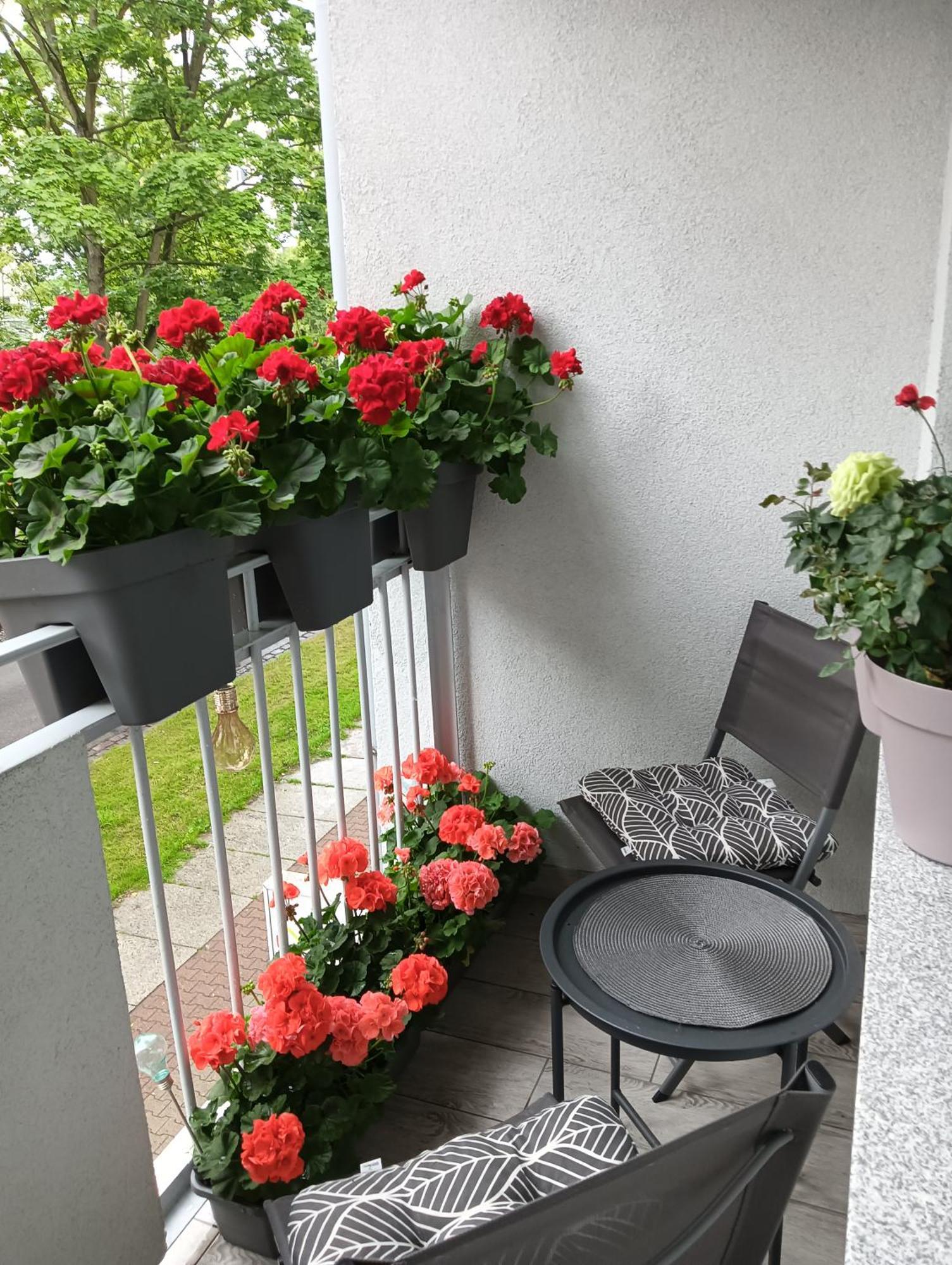 Apartament Ale Laba Kolobrzeg Luaran gambar